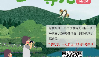 2021年台州眼视光医院OK镜俱乐部少儿摄影大赛投票通道开启！赶快来投票吧！