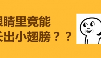 科普 | 眼睛里还能长出了“虫子翅膀”？